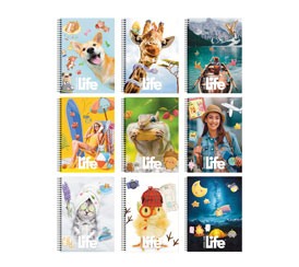 Catalogo