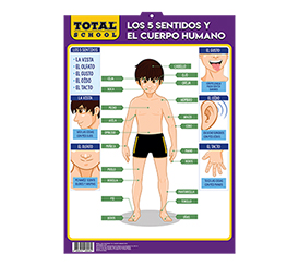 Catalogo