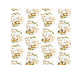 Catalogo