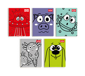 Catalogo