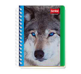 Catalogo