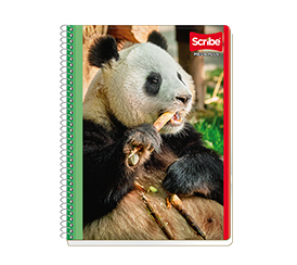 Catalogo