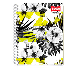 Catalogo