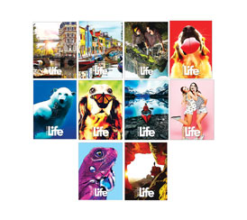 Catalogo